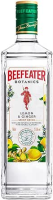 Beefeater Botanics Limão & Gengibre – 750 ml